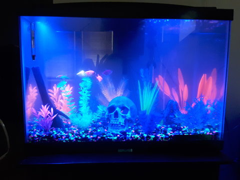 20161102_164157.jpg