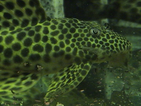 DSC08314.JPG