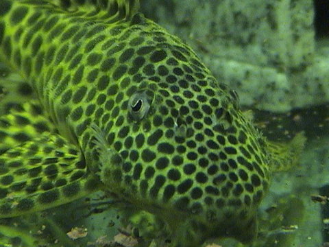 DSC08311.JPG