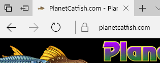 Sample favicon on Edge