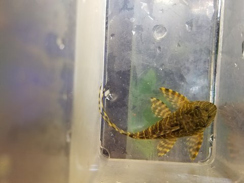 20170623_164525.jpg