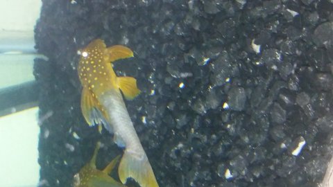 20170812_220209.jpg