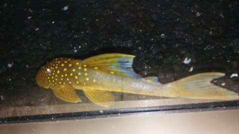 20170812_220137.jpg