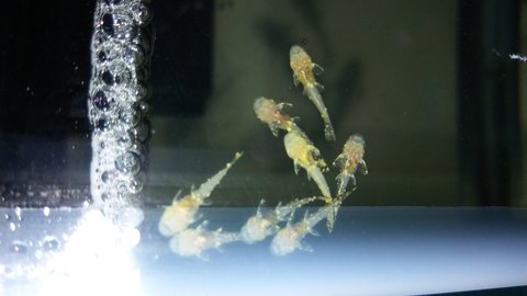 20170921_001357.jpg