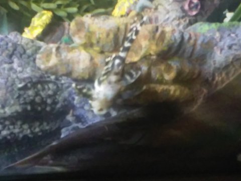 20170922_111340.jpg