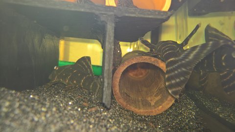 WP_20171125_13_21_15_Rich.jpg