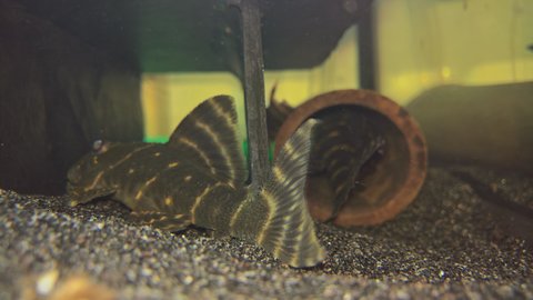 WP_20171125_13_40_54_Rich.jpg