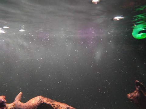 IMG_20171205_135544.jpg