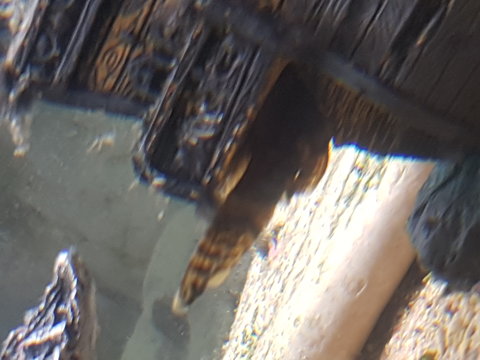 20171215_212332.jpg