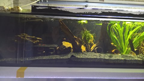 WP_20180110_14_48_48_Rich.jpg