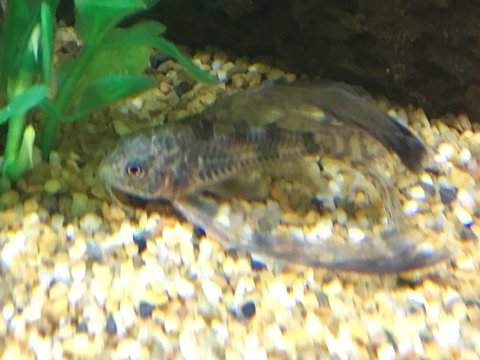 IMG_2226.JPG