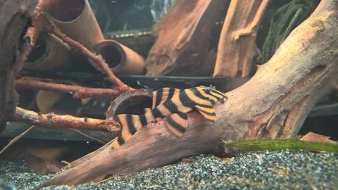 WP_20180227_14_54_09_Pro.jpg