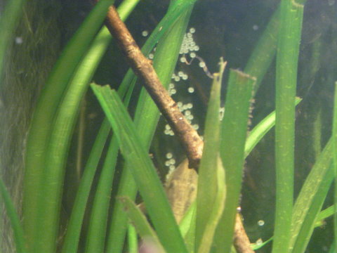 PA310014_zpsezhc6s8a.jpg