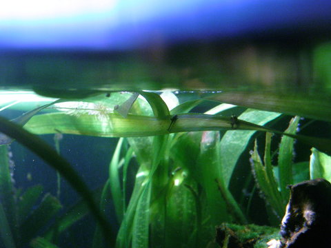 PB100017_zpshqbr2mbm.jpg