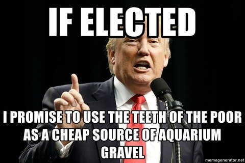 if-elected-i-promise-to-use-the-teeth-of-the-poor-as-a-cheap-source-of-aquarium-gravel.jpg