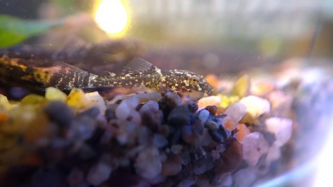 WP_20180625_10_01_41_Moment[1].jpg