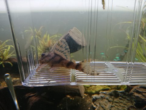 DSC_1256.JPG