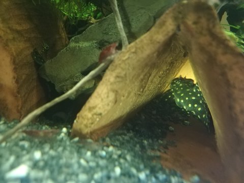 IMG_20181005_075508.jpg