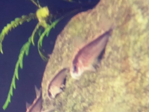 20181012_220513_Film1.jpg