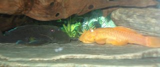 DSC01324.JPG