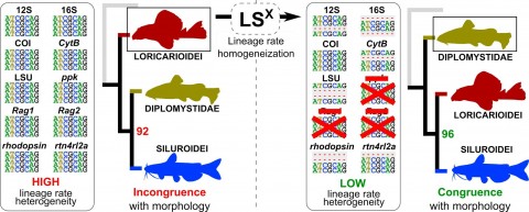 Graphical Abstract