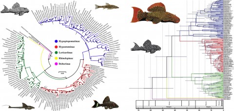 Figure from article