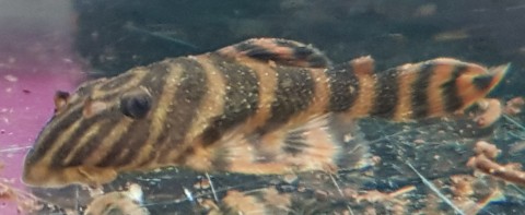 20190407_190935 - Copy.jpg