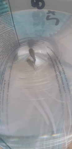 received_436369527200007.jpeg