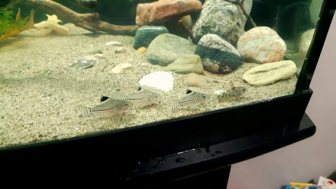 20190909_231629.jpg