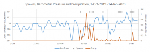 Eric's pleco miraculous spawning log December 2019 - January 2020 extended early data.png