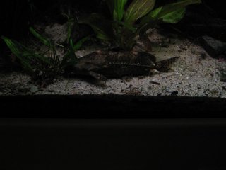 IMG_0496.jpg