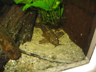 IMG_0499.jpg