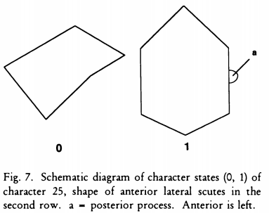 Retzer & Page fig 7.png