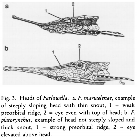 Retzer & Page fig 3.png