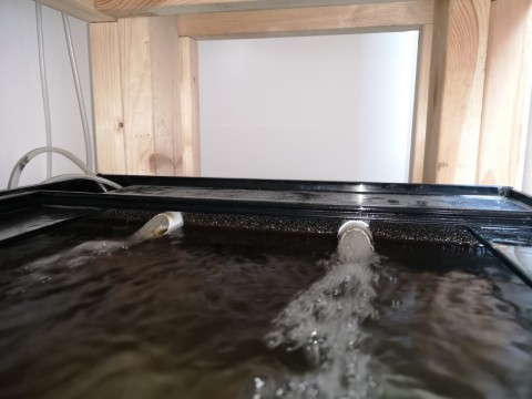 No gaps between foam and glass, even above the water line.