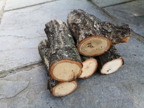 prepared oak.jpg
