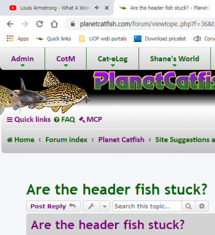 fishes 2.png