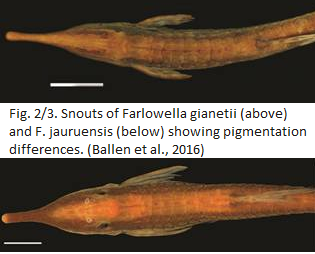 Ballen et al. (2016) Figs 2/3