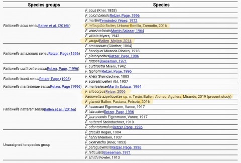 Tab. 1 List of species and species groups of the genus Farlowella. (Terán et al. 2019)