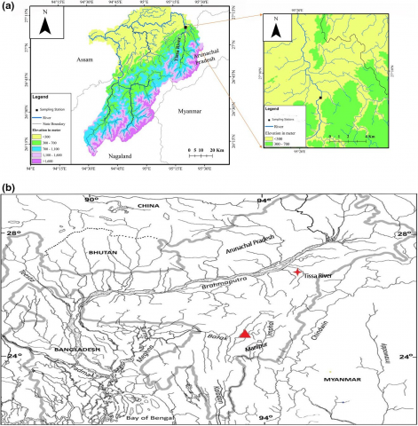 From paper: Figure 1 (a), Map of River Tissa showing the sampling site. (b), Map showing type locality (filled triangle) and present locality (star mark) of Pterocryptis barakensis.