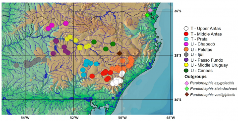 Fig 3. Distribution of sampling localities of Pareiorhaphis hystrix and outgroups, including both alcohol specimens and tissue samples
