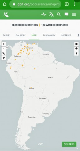 M. iheringi distribution (GBIF)