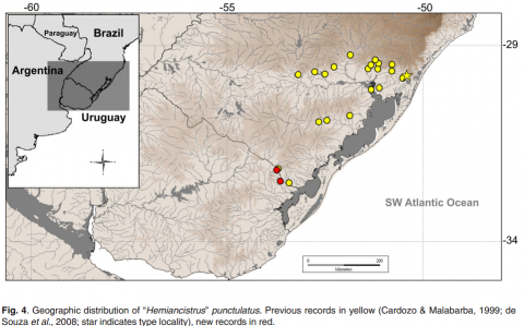 Hemiancistrus punctulatus map.png