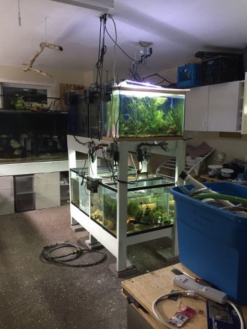 Holds 8 29g Aquariums