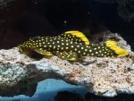 IMG_20210118_10.jpg