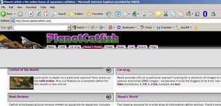 Screenshot.JPG