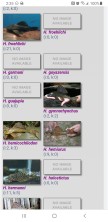 Screenshot_20210220-023531_Chrome.jpg