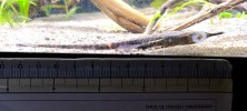 20210221_185731.jpg