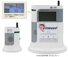 Figure 2. A digital catfish developed by the company 3Soft