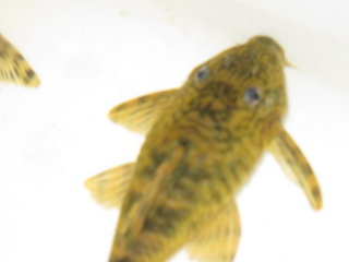 720l 024.JPG